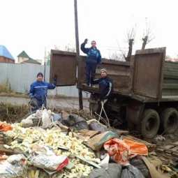 Вывоз мусора с дачи: как справиться с погрузкой и разгрузкой в сложных условиях